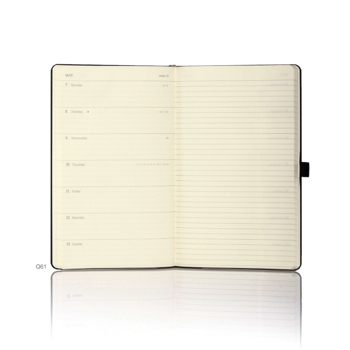 Premium 2025 Medium Italian Diaries (Softcover)